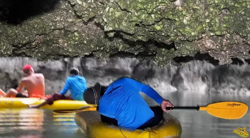 Hong by Starlight with Sea Cave Kayak and Glowing Plankton