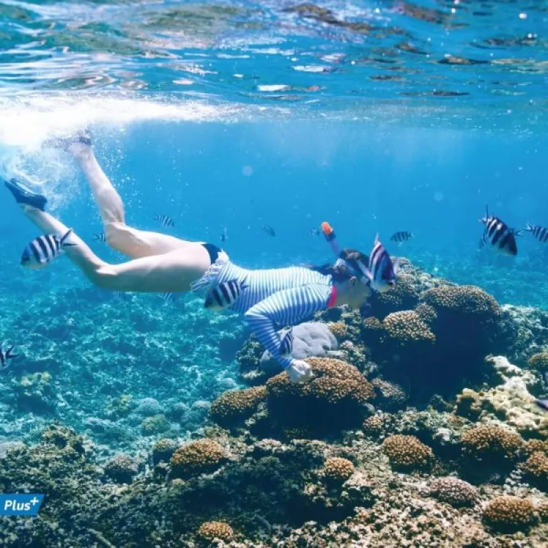 Phi Phi + Maya Bay + Khai Islands Standard Tour by Speed Boat